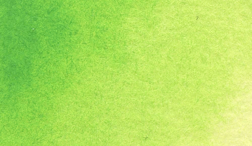 2/6 Holbein Watercolor 5ml Tubes & 2ml Half-Pans (Greens) - Buy 5 Get 1 Free