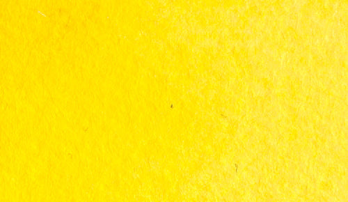 4/6 Holbein Watercolor 5ml Tubes & 2ml Half-Pans (Yellows/Oranges) - Buy 5 Get 1 Free