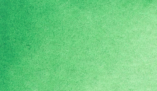 2/6 Holbein Watercolor 5ml Tubes & 2ml Half-Pans (Greens) - Buy 5 Get 1 Free