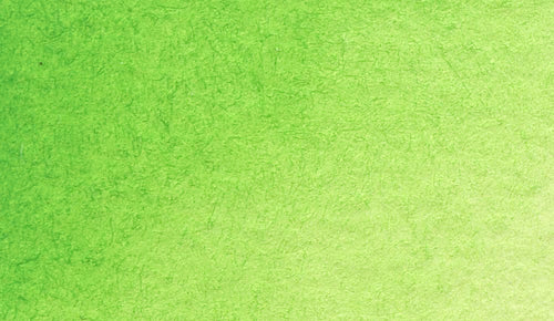 2/6 Holbein Watercolor 5ml Tubes & 2ml Half-Pans (Greens) - Buy 5 Get 1 Free