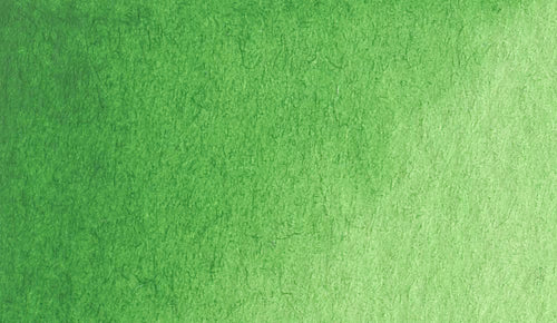 2/6 Holbein Watercolor 5ml Tubes & 2ml Half-Pans (Greens) - Buy 5 Get 1 Free