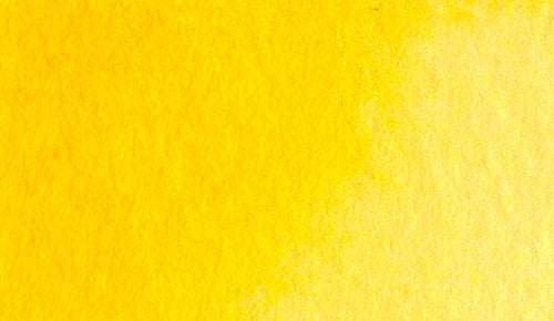 4/6 Holbein Watercolor 5ml Tubes & 2ml Half-Pans (Yellows/Oranges) - Buy 5 Get 1 Free