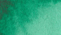 2/6 Holbein Watercolor 5ml Tubes & 2ml Half-Pans (Greens) - Buy 5 Get 1 Free